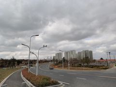 -烟墩角天鹅湖
