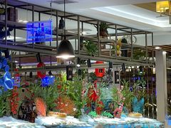 -腾阁自助餐厅(朝林广场店)