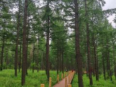 -塞罕坝国家级自然保护区