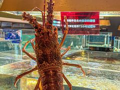 -璞御·海鲜·雪花牛肉局(宾水西道店)