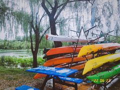-WhaleSports户外水上运动俱乐部(朝阳公园店)