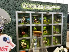 -芸山季·云南山珍菌火锅(南翔印象城MEGA店)