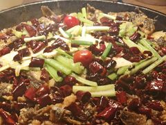 -老板恋上鱼(印象城店)