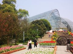 -南山植物园