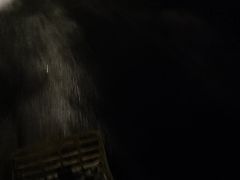 -中国宋庆龄青少年科技文化交流中心
