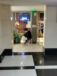 点击看大图 -藤野造型