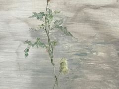 -厦门喜来登酒店