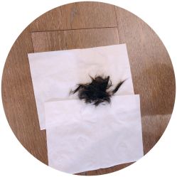 -龙文宝贝上门婴儿理发满月剃胎毛(总店)