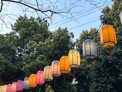 -院8里·小聚园(九眼桥店)