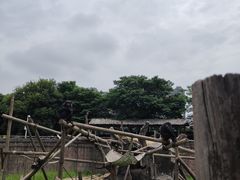 -南昌动物园