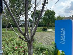 -菊园百果园