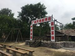 -大丰知青农场