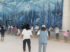 -世界之窗阿尔卑斯冰雪世界