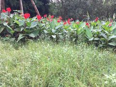 -白鹭湾湿地公园