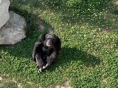 -西霞口神雕山野生动物世界