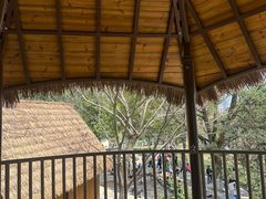 -宁波儿童公园(鄞州区)