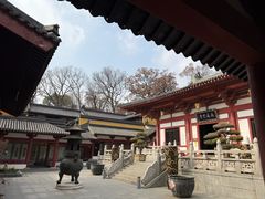 -灵谷景区