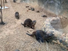 -昆明动物园