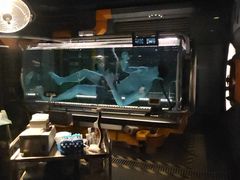 -奥兰多迪士尼动物王国乐园