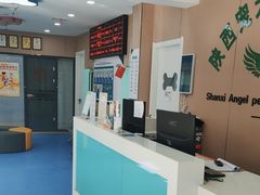 -天使宠物医院·犬猫分诊(彩虹店)