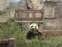 -无锡动物园·太湖欢乐园