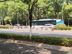 -羊山湖公园