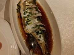-金美华轩(东方路齐鲁店)