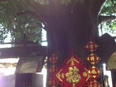 -滇釜火锅·能喝汤的火锅(车公庄店)