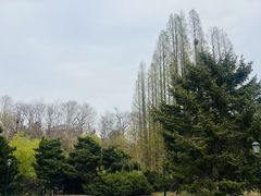 -棒棰岛宾馆景区