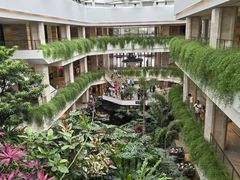 -广州白天鹅宾馆