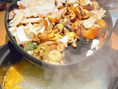 -一朵菌·野生菌探索家火锅(南亚店)