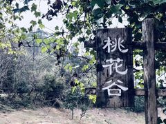 -中山市树木园