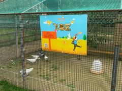 -前小桔亲子创意农场·草莓采摘·露营烧烤