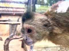 -云南野生动物园