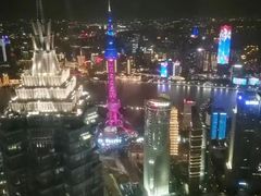 -上海柏悦酒店