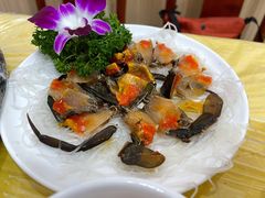 -官塘陈记鱼生·潮汕砂锅粥·牛肉火锅(潮枫路总店)