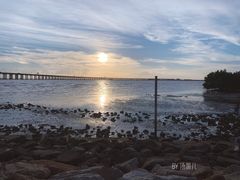 -宝安西湾红树林湿地公园