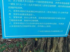 -百万葵园