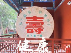 -南岳衡山风景名胜区-南岳大庙