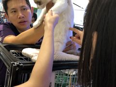 -远洋未来广场(育慧北路店)