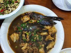 -全乐鱼馆·淳牌有机鱼直营店