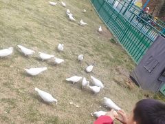 -瓷天下海丝谷