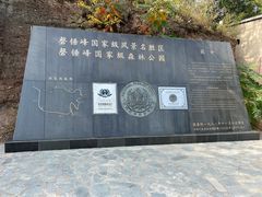-磬锤峰森林公园