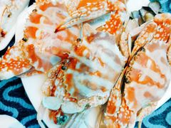 -瑞德姆美人鱼海底演艺主题餐厅(亚龙湾店)