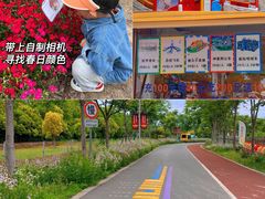 -上海长兴岛郊野公园