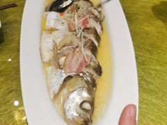 野生太湖白鱼-香园茶社·金陵小灶(老门东店)