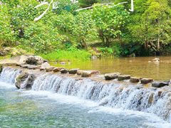 -广州市石门国家森林公园