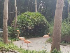 -广东茂名森林公园