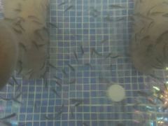 -水晶之星洗浴温泉汗蒸