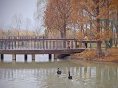 -西山漾湿地公园